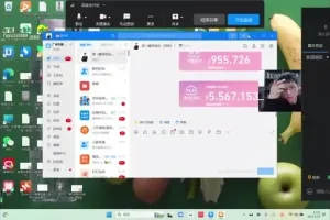 2024淘宝开店运营：直通车与全店动销实战技巧教程