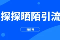 探探陌陌日引200男粉引流课程：小白新手可做，当天变现300+