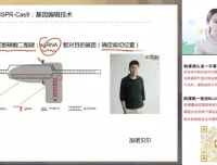 2024高考马阳洋生物二轮冲刺班：稳态与生态专题精讲