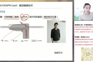2024高考马阳洋生物二轮冲刺班：稳态与生态专题精讲