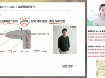 2024高考马阳洋生物二轮冲刺班：稳态与生态专题精讲