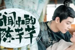 影视同名有声书《传闻中的陈芊芊》210集完结