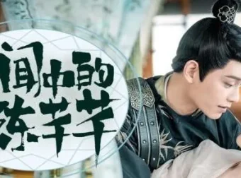 影视同名有声书《传闻中的陈芊芊》210集完结