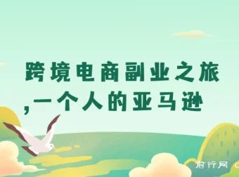 跨境电商副业之旅：一个人的亚马逊自动赚钱小生意课程