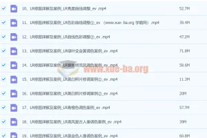 浩哥手机后期修图秘籍：全面修图课程