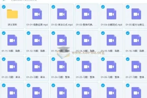 杨哥AI数学：中考培优六大专题课程