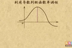 乐乐课堂高中数学全模块精讲：助力成绩提升