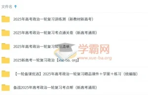 2025新高考高考政治一轮复习资料合集