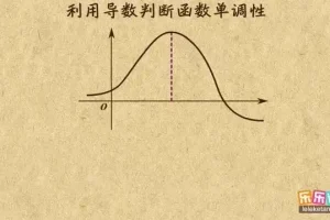 乐乐课堂高中数学全模块精讲：助力成绩提升