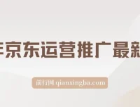 25年京东运营推广最新玩法：小白轻松上手，日入2000+课程