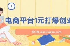 12月最新：电商平台1元引流创业粉课程，日引500+精准粉丝