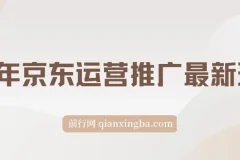25年京东运营推广最新玩法：小白轻松上手，日入2000+课程
