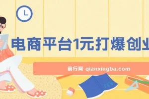 12月最新：电商平台1元引流创业粉课程，日引500+精准粉丝