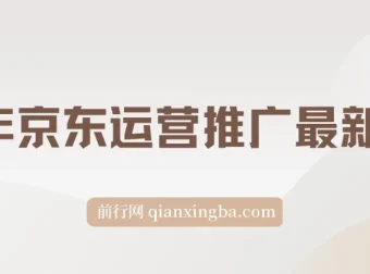 25年京东运营推广最新玩法：小白轻松上手，日入2000+课程