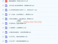 像麦肯锡顾问一样思考 21讲课程