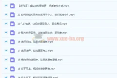 像麦肯锡顾问一样思考 21讲课程