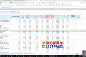 跨境飞哥《广告付费流量优化高阶课程第23期》：用数据驱动决策