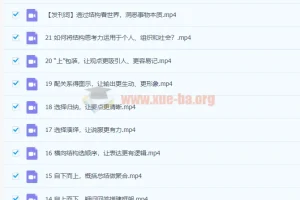 像麦肯锡顾问一样思考 21讲课程