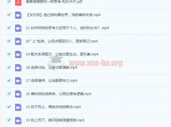 像麦肯锡顾问一样思考 21讲课程