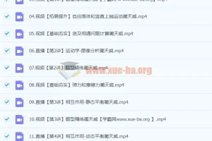 2024蔺天威高三高考物理一轮a+暑假课程