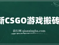 最新CSGO游戏搬砖项目：小白零基础月入过万（附教程+软件）