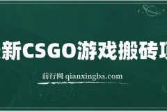 最新CSGO游戏搬砖项目：小白零基础月入过万（附教程+软件）