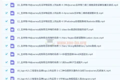 谢安妮《设计师用BI偷懒》课程