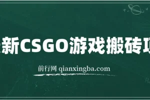 最新CSGO游戏搬砖项目：小白零基础月入过万（附教程+软件）