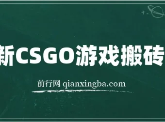 最新CSGO游戏搬砖项目：小白零基础月入过万（附教程+软件）