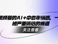 视频号：利用AI制作中老年情感视频