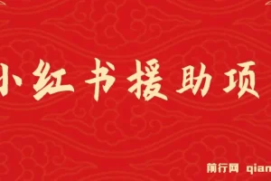 赛道冷门但收入可观：小红书援助项目介绍