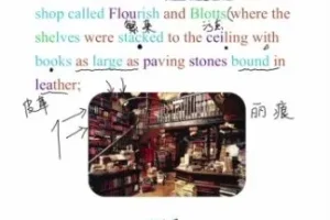 哈利波特精读课：用原著打造沉浸式英语环境（附文化解析，同传译员逐章解读）