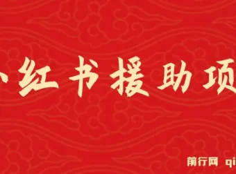赛道冷门但收入可观：小红书援助项目介绍