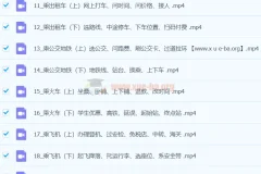 像外国人一样学英语：马正扬沉浸式英语50讲