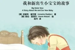 儿童绘本故事《我当大姐姐了》PPT资源