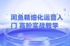 闲鱼精细化运营：入门与高阶实战教学，零成本轻创业电商项目