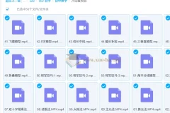 初中数学初二八年级解题大招课程