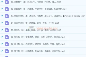像外国人一样学英语：马正扬沉浸式英语50讲