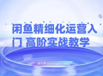 闲鱼精细化运营：入门与高阶实战教学，零成本轻创业电商项目