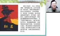初一初二语文A+班·希望学孙清珍名师系统课