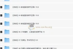 脑力工程师孙路弘儿童教育课程合集