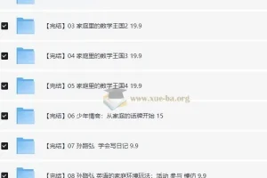 脑力工程师孙路弘儿童教育课程合集