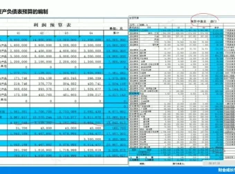 企业全面预算编制执行与控制实战教程：财会成长学苑出品