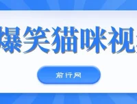 爆笑猫咪视频：视频号搞钱新策略，简单操作日入过K