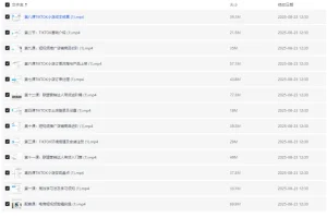 TikTok跨境电商全流程课程：从入门到实操，掌握流量变现与小店运营