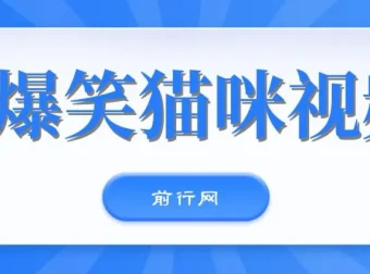 爆笑猫咪视频：视频号搞钱新策略，简单操作日入过K