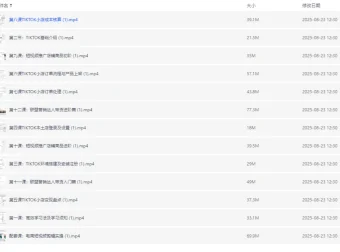 TikTok跨境电商全流程课程：从入门到实操，掌握流量变现与小店运营