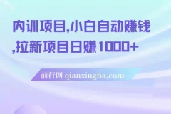 内训项目：小白自动赚钱之拉新项目日赚1000+