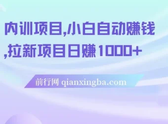 内训项目：小白自动赚钱之拉新项目日赚1000+