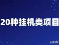 揭秘20种挂机类网创项目玩法：小白轻松上手，日入潜力可观